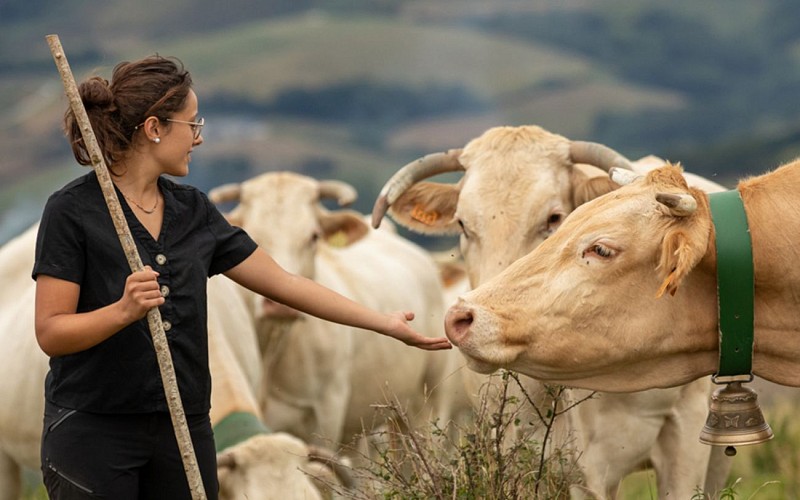 arrokain_blonde_aquitaine