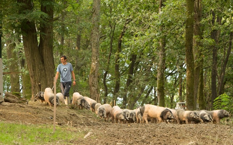 -KINTOA-ARO8052-min-2