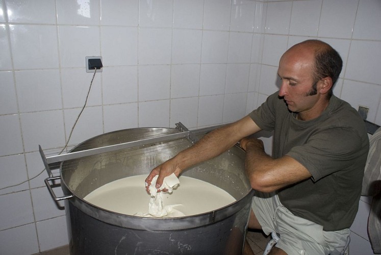 Fabrication du fromage