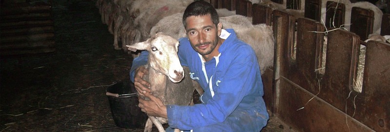 Ferme Agia tardets soule pays basque