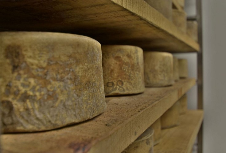 Fromages Ferme Salaberria - fromages en séchoir - Saint Etienne de Baïgorry