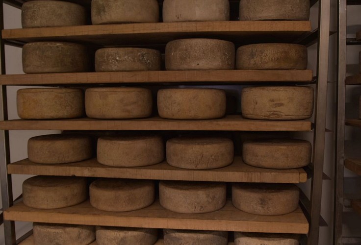 Fromages Ferme Salaberria - fromages - Saint Etienne de Baïgorry