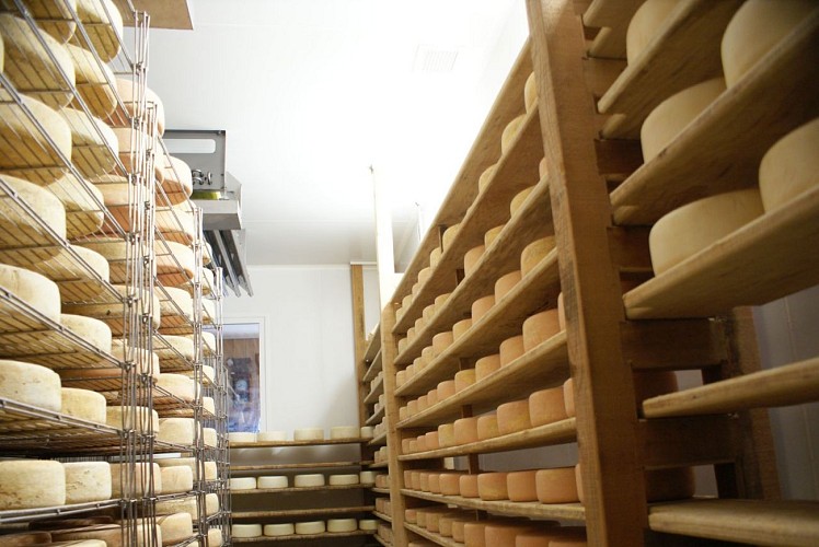 Ferme-Casebonne---Saloir