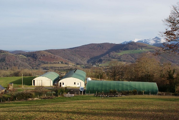 Ferme Casebonne - La ferme