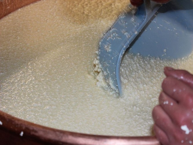 Fromages Etchamendy - fabrication fromage - Ahaxe