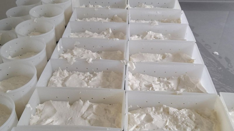 Coeur de Béarn Agenda - Biquettes de Bellevue Fromage