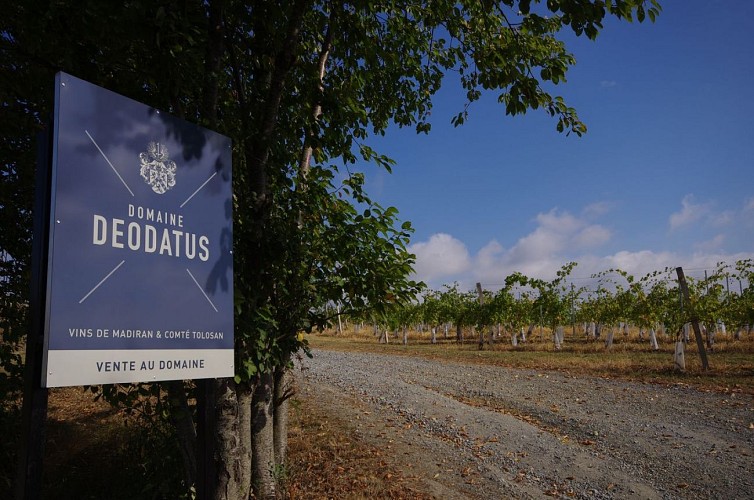 Domaine Déodatus - Crouseilles - cph Déodatus