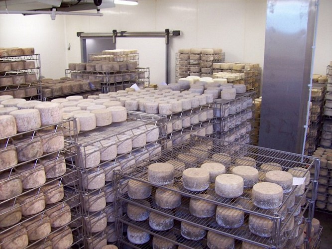 Ferme-Kukulu---Affinage-2