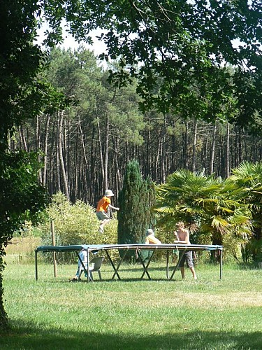 Aire naturelle Le Toy