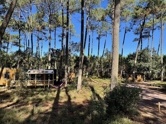 2 IMG_3140- 2022green2