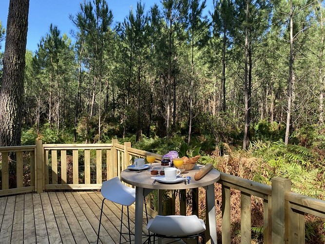 5 0 suite new (10)- 2022green5