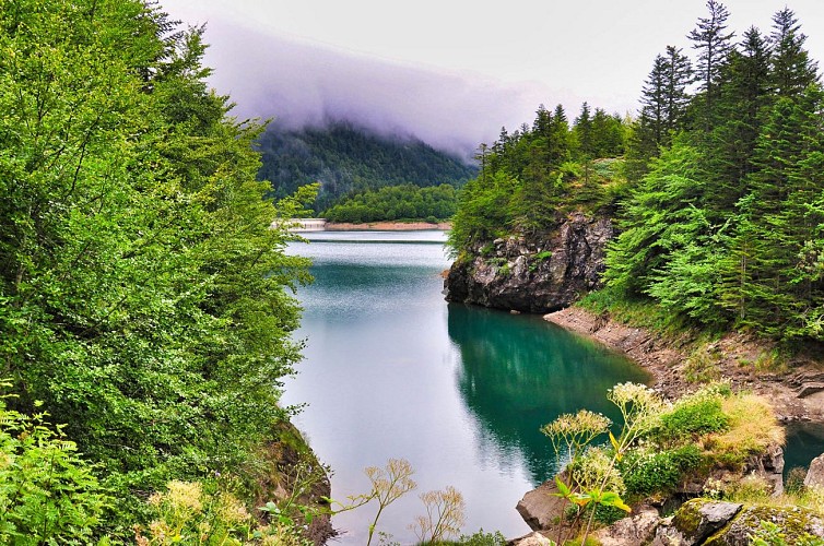 Bious©Pont-Lauguere