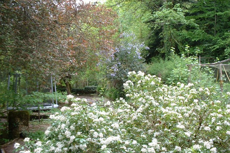 Le Vieux Moulin de la Maque 3