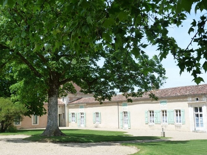 Chaulnes-Bergeronnettes-cour-arbre