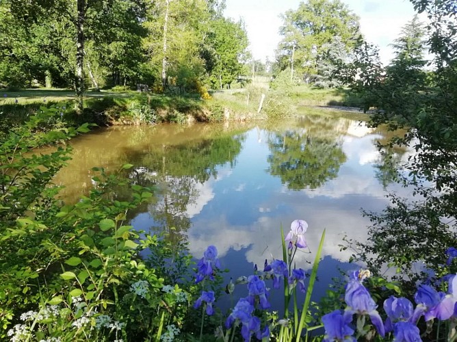 Larqué - Vanxains (Le Poulailler) (2)