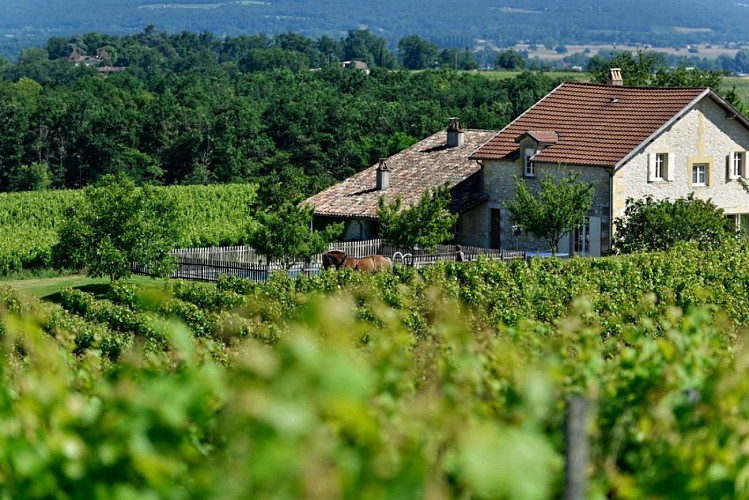 Gite les miaudoux exterieur