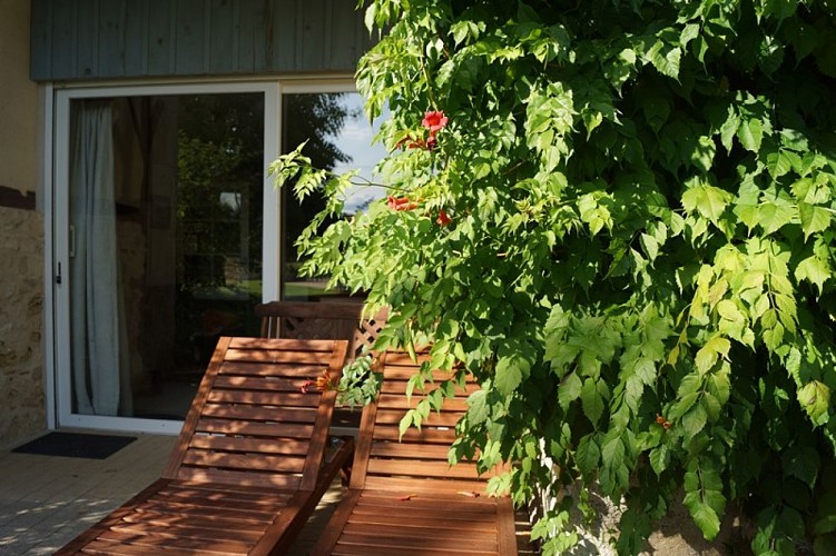 Gîte Domaine de la Mouthe St Rémy La Grange 11