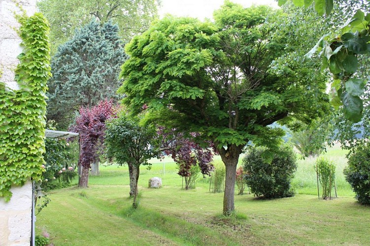 Gite Saint Aulaire de l'Angle jardin