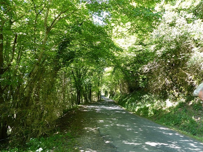chemin de randonnée