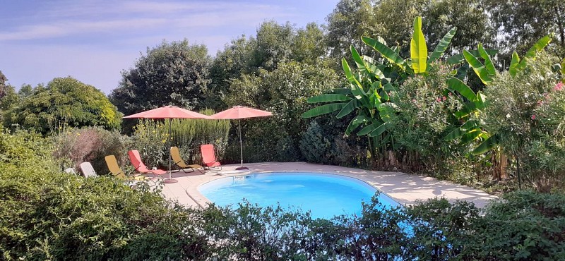 JONVILLE-Le Mazel-piscine pour brochure