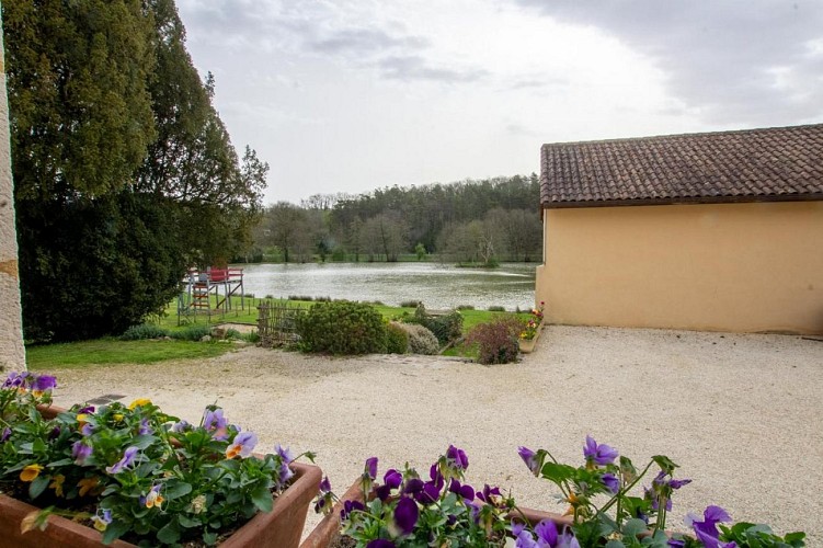 Gîte les Tilleuls extérieur