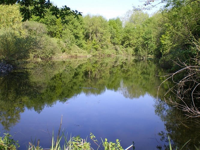 Périgord Inattendu - Gîte La Couronne du Moulin du Treuil 11
