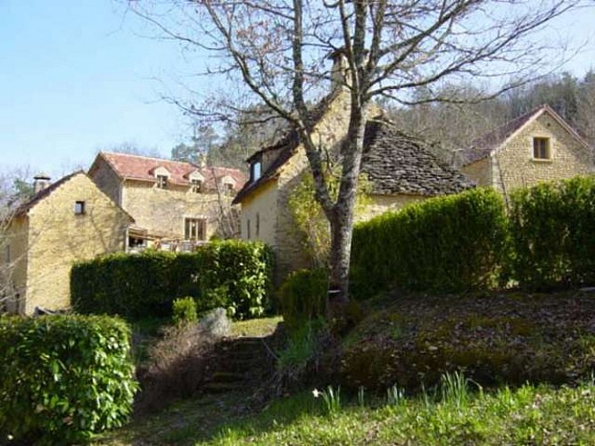 Gîtes La cantharide