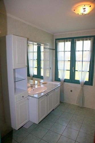 411256-11_24G336336_e22b5156e235f6c9a19d093f6f175825