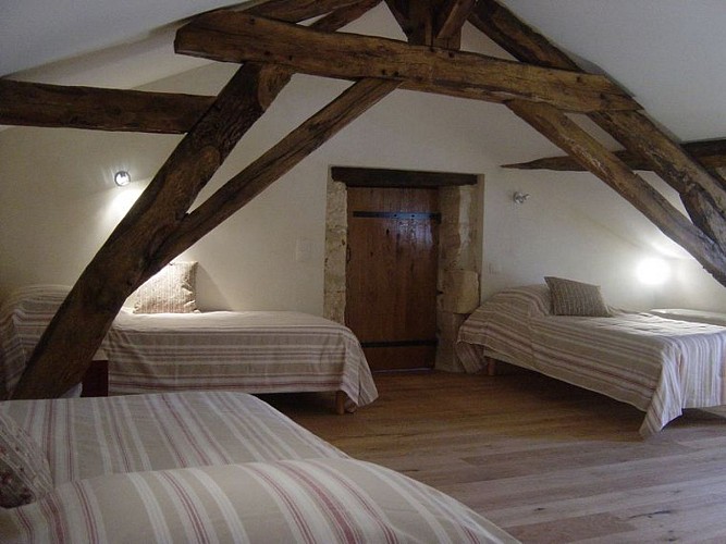 Holguin___Holguin__1_