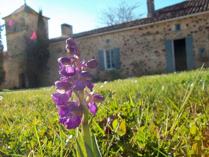 Gîte Le Clos des Vignes