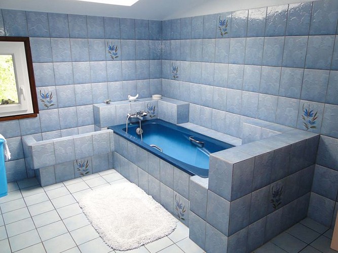 beaupuy©beaupuy (6)