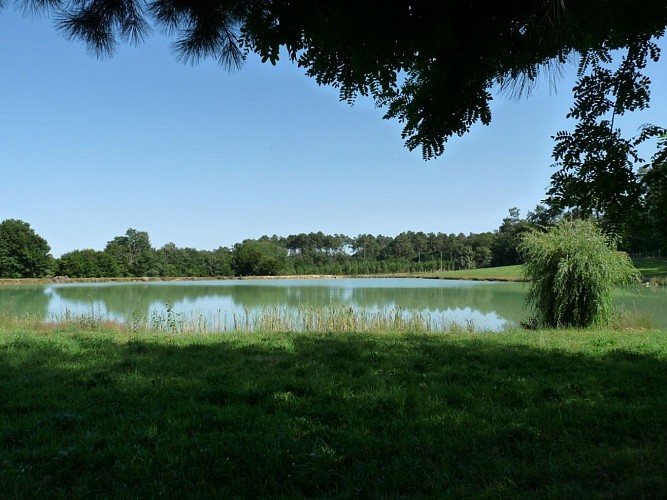 L'étang clôturé de pêche du domaine