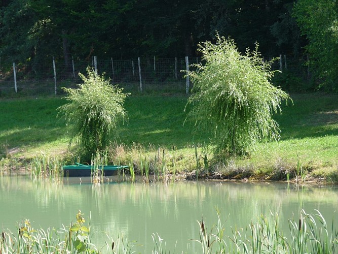La barque pour une balade sur l'étang du domaine