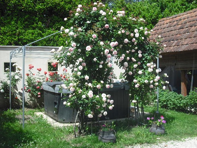 ronsard en fleurs