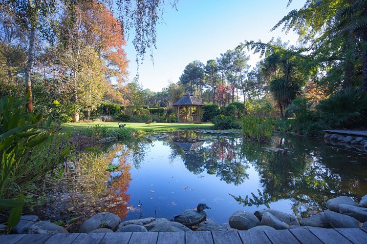 maison-lacanau-IMG_8432 - Nicole Mackenzie