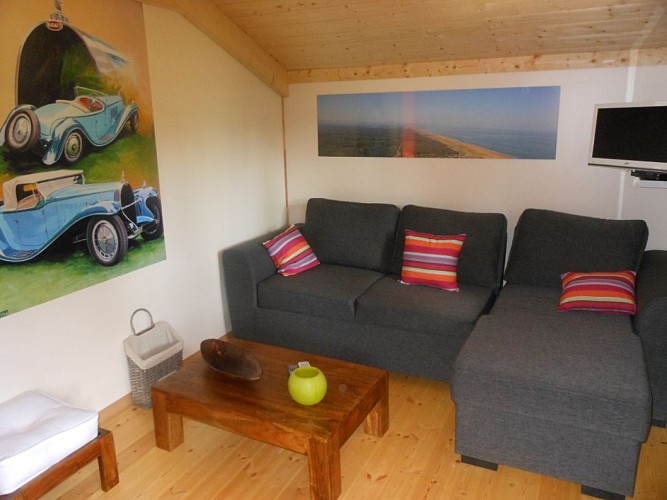 Les Chats perchés - Delhoume6_Labenne_Landes Atlantique Sud