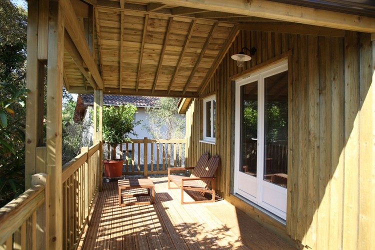 Les Chats perchés - Delhoume7_Labenne_Landes Atlantique Sud