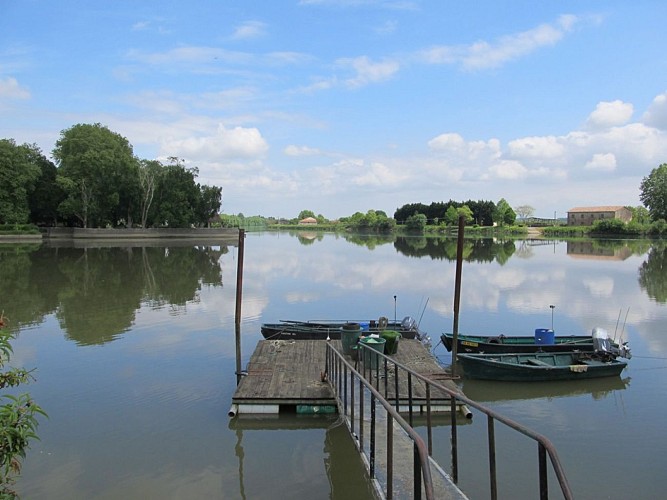 Alsumard_SAINTE MARIE DE GOSSE (10)