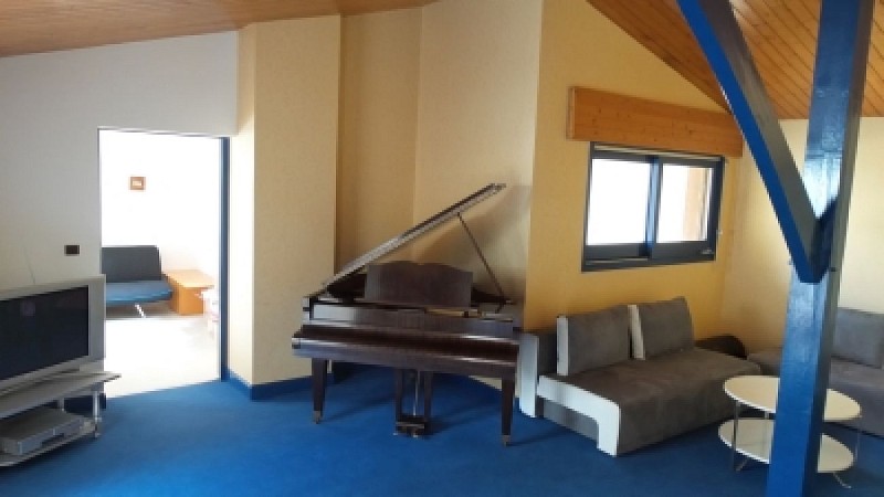 M6 - PLANTADEinternet1