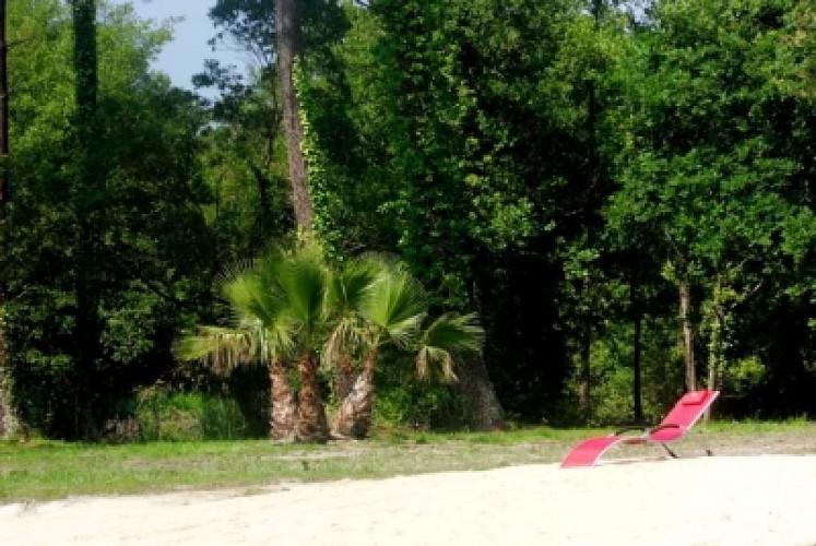 M6 - PLANTADEinternet10