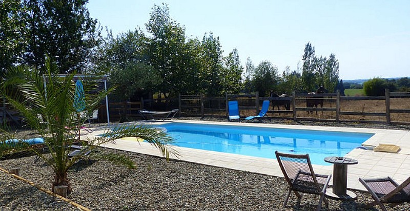 Piscine à l'ombre du tilleul