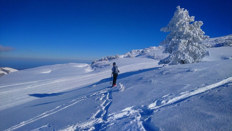 Ski de rando à La Pierre Saint-Martin