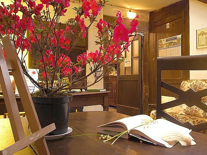 Le chemin vers l'étoile-bouquet--St Jean Pied de Port