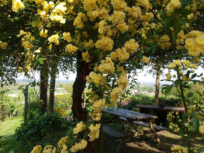 gîte biscar - jardin