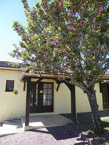 Entrée redim sirtaqui