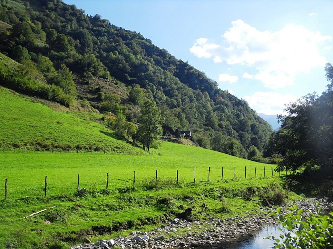  SAMSUNG DIGITAL CAMERA