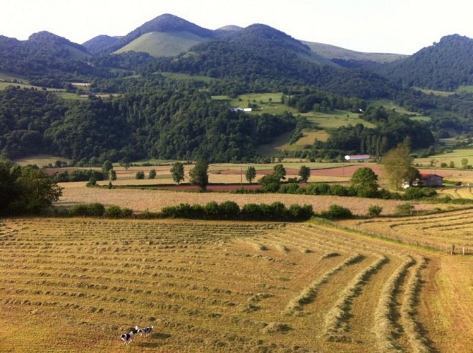 Gîte d'étape des Arbailles - Hosta (8)