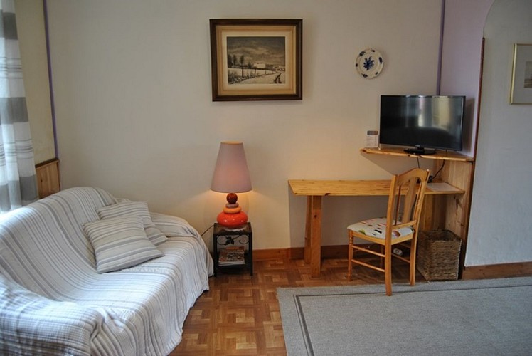 la source de peyssou - les violettes - salon-TV