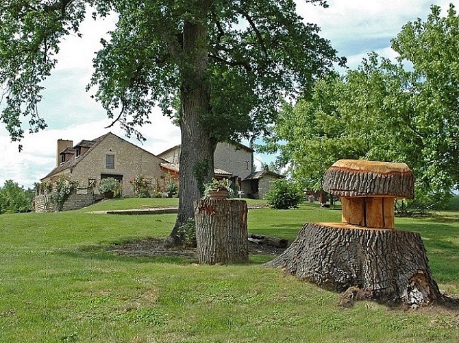 ch-hotes-Buisson-st-geraud-de-corps-champignon