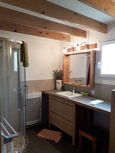 REMUSAT (les voelts bleus) - Saint-Vincent de Connezac (8)